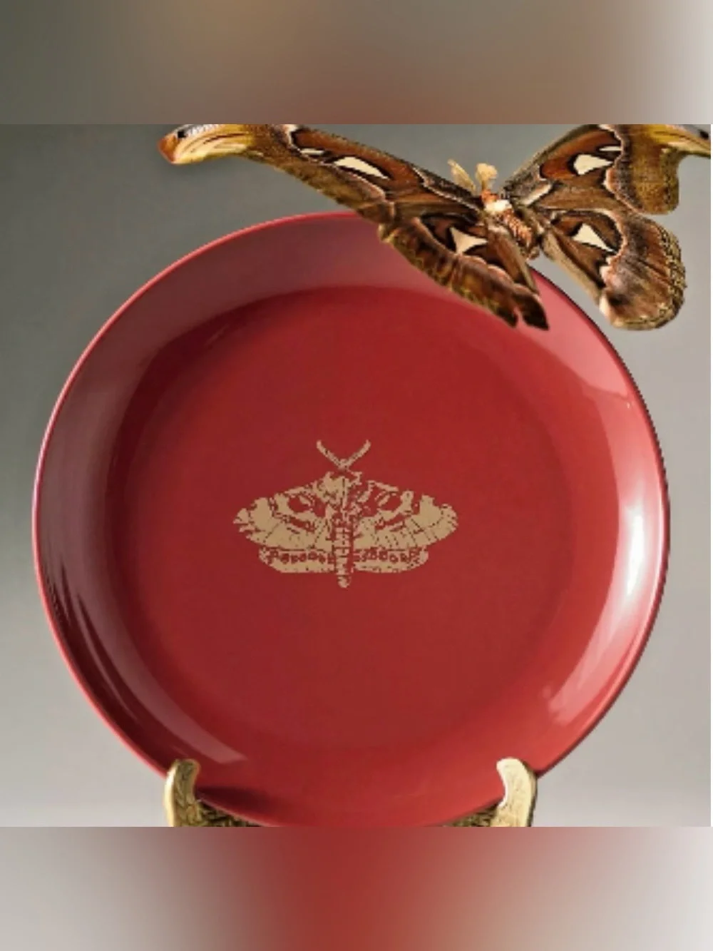 Anthropologie Catherine Martin Midnight Creatures Stoneware Dessert Plate, Moth